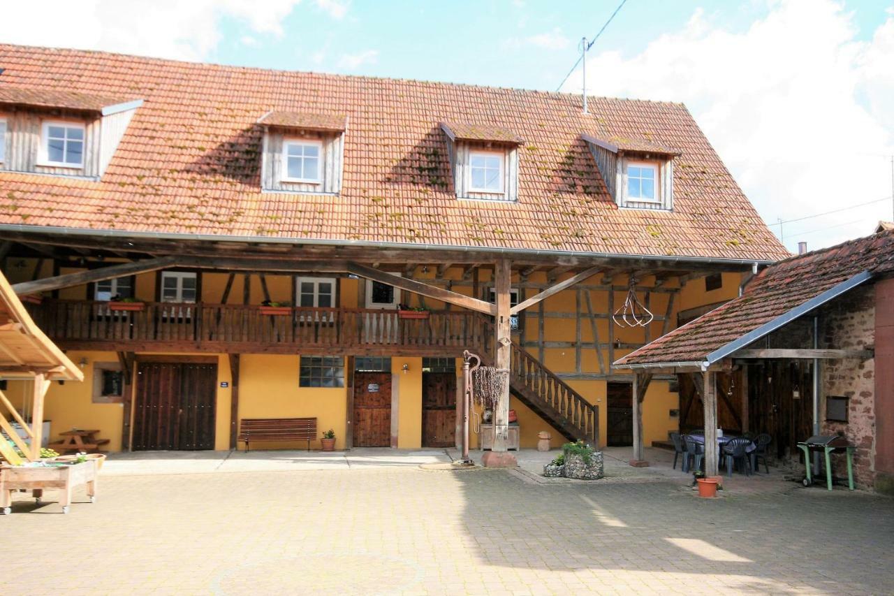 Bischholtz La Ferme De Georges Apt 1 A 6 Pers מראה חיצוני תמונה